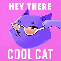cool cat.gif