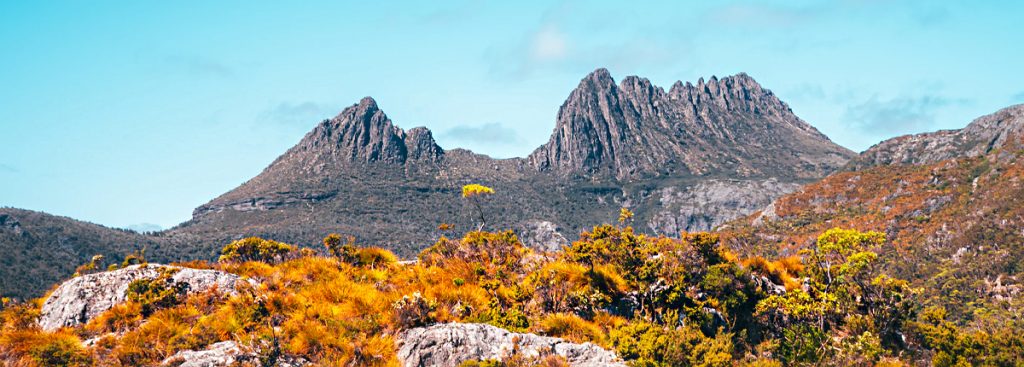 cradle-mountain-1024x367.jpg