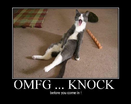 crazy_funny_amazing_shocking_awesome_sexy_200907311442273739.jpg