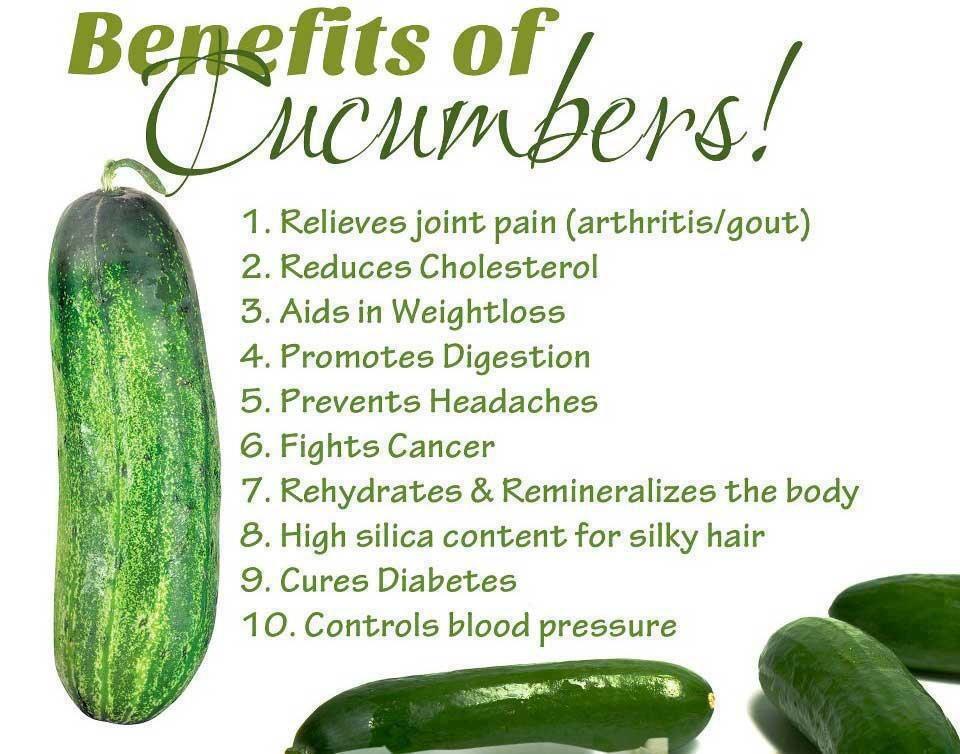 cucumber.jpg