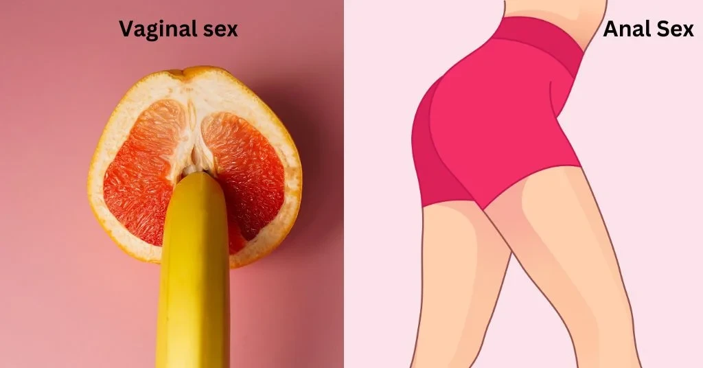 difference-between-anal-and-vaginal-sex_1706966867 (1).webp