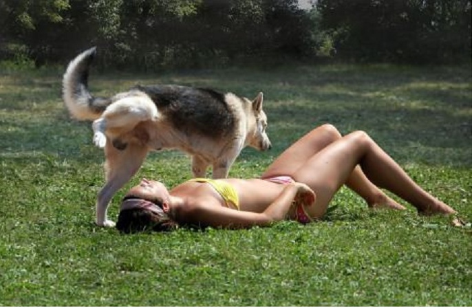 Dog.jpg