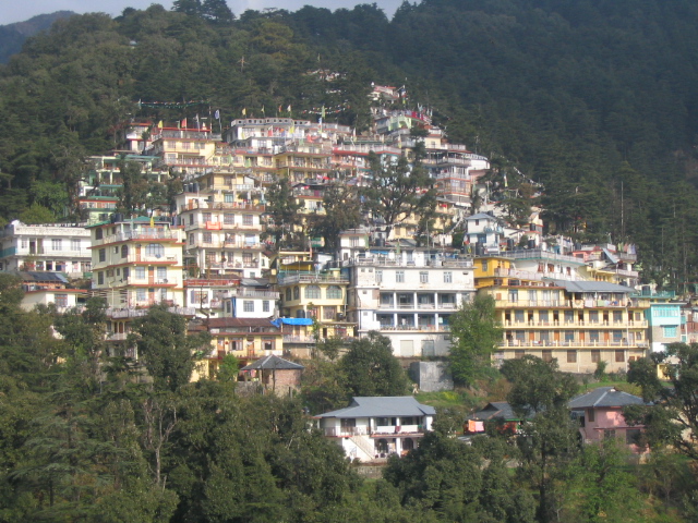 Domaro_en_McLeod_Ganj.jpg