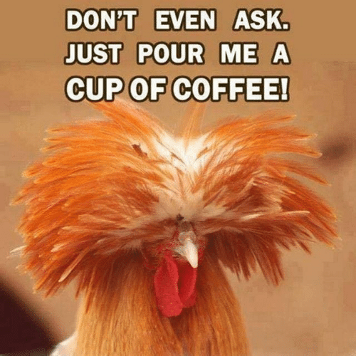 dont-even-ask-just-pour-me-a-cup-of-coffee-44292515.png