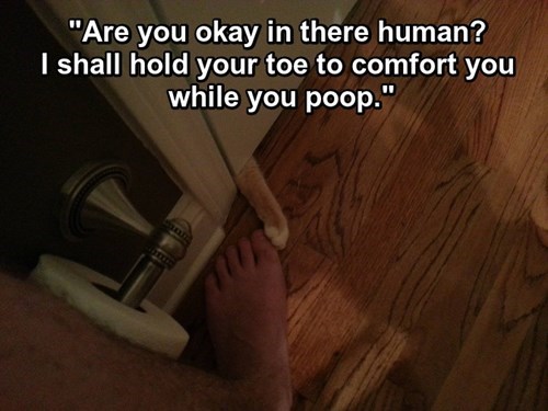 Foot massage