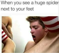 download.jpg