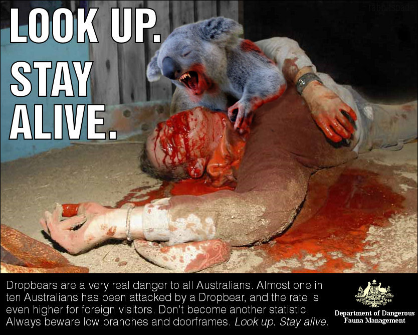 Drop-Bears-Warning.jpg