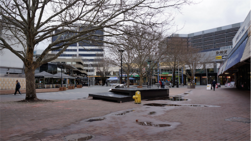 DSC07761-500x281.png