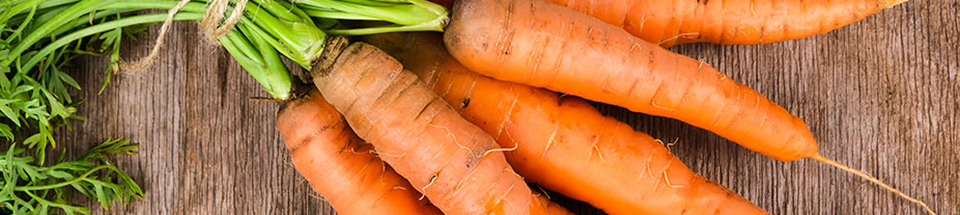 eat-a-rainbow-orange-960x215.jpg