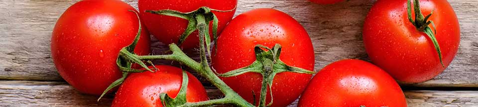 eat-a-rainbow-red-960x215.jpg