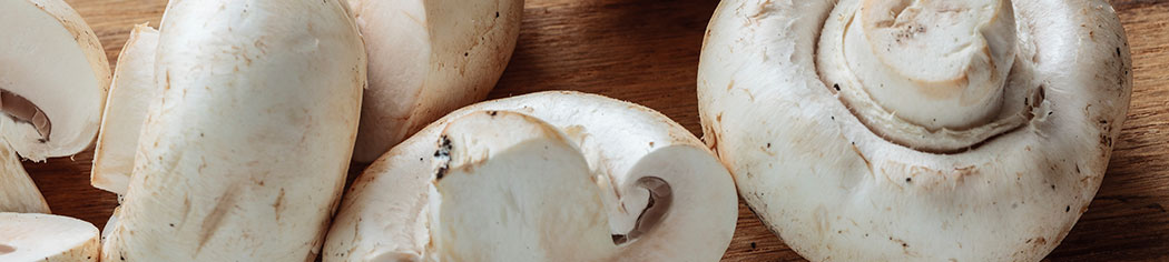 eat-a-rainbow-white-brown-960x215.jpg