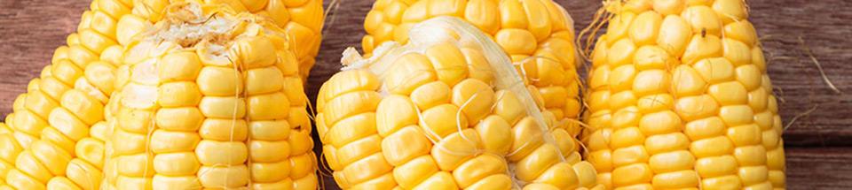 eat-a-rainbow-yellow-960x215.jpg