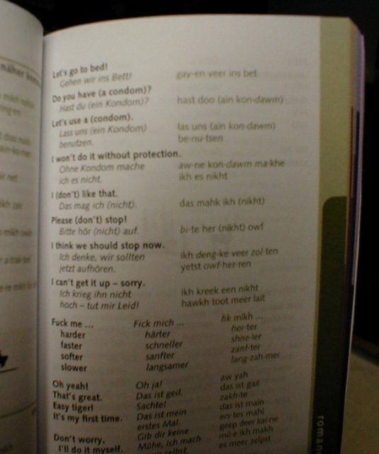 Essential German for travellers.jpg