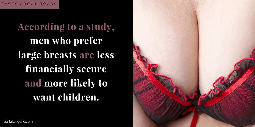 facts-about-boobs-4.png