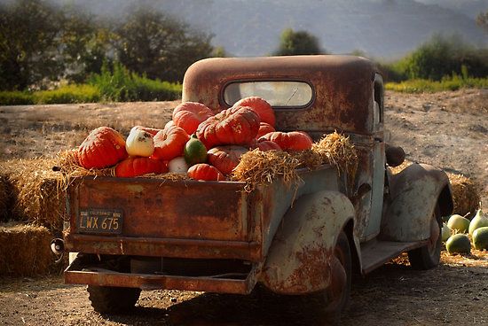 farm1.jpg