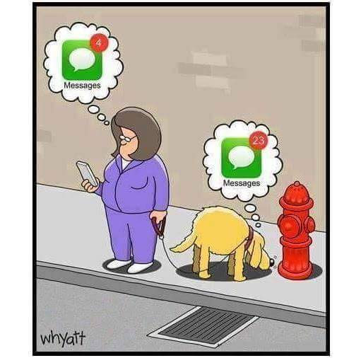 FB_IMG_1502540210683.jpg
