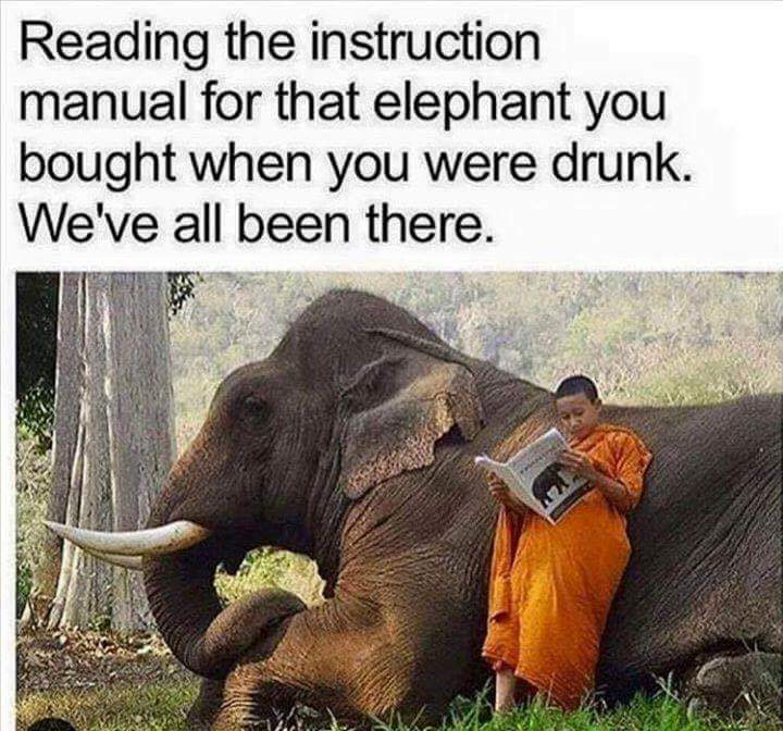 FB_IMG_1530690099847.jpg
