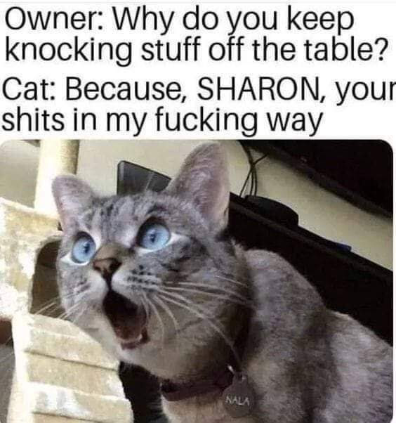 FB_IMG_1568504294328.jpg