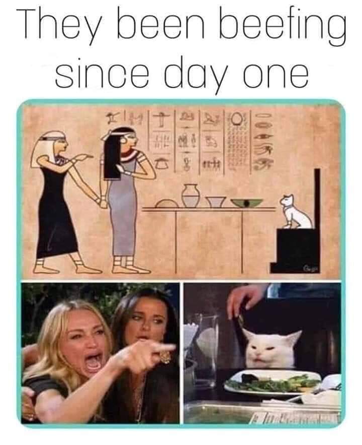 FB_IMG_1572492854684.jpg
