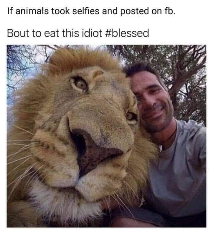 FB_IMG_1578455606499.jpg