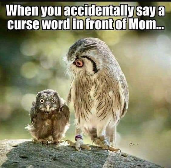 FB_IMG_1580775860856.jpg