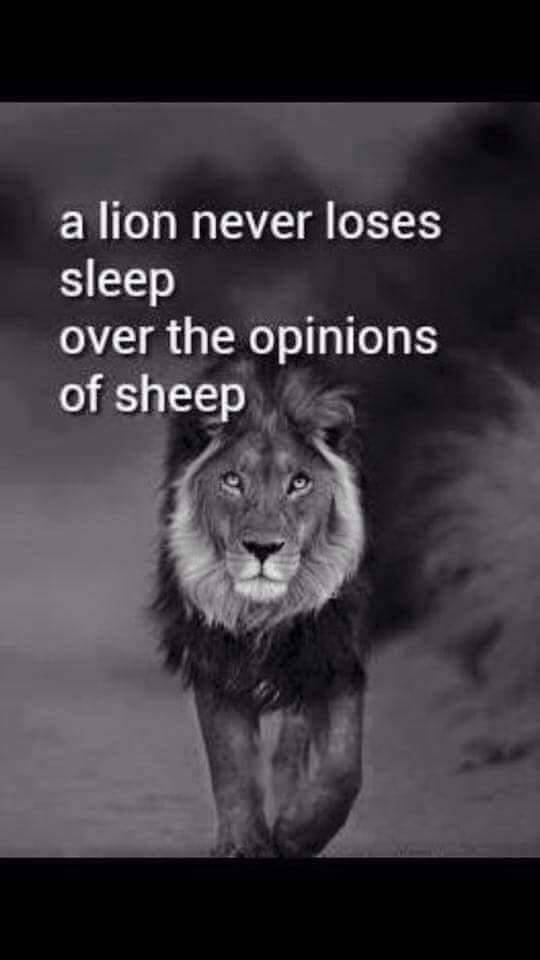 FB_IMG_1588024691218.jpg