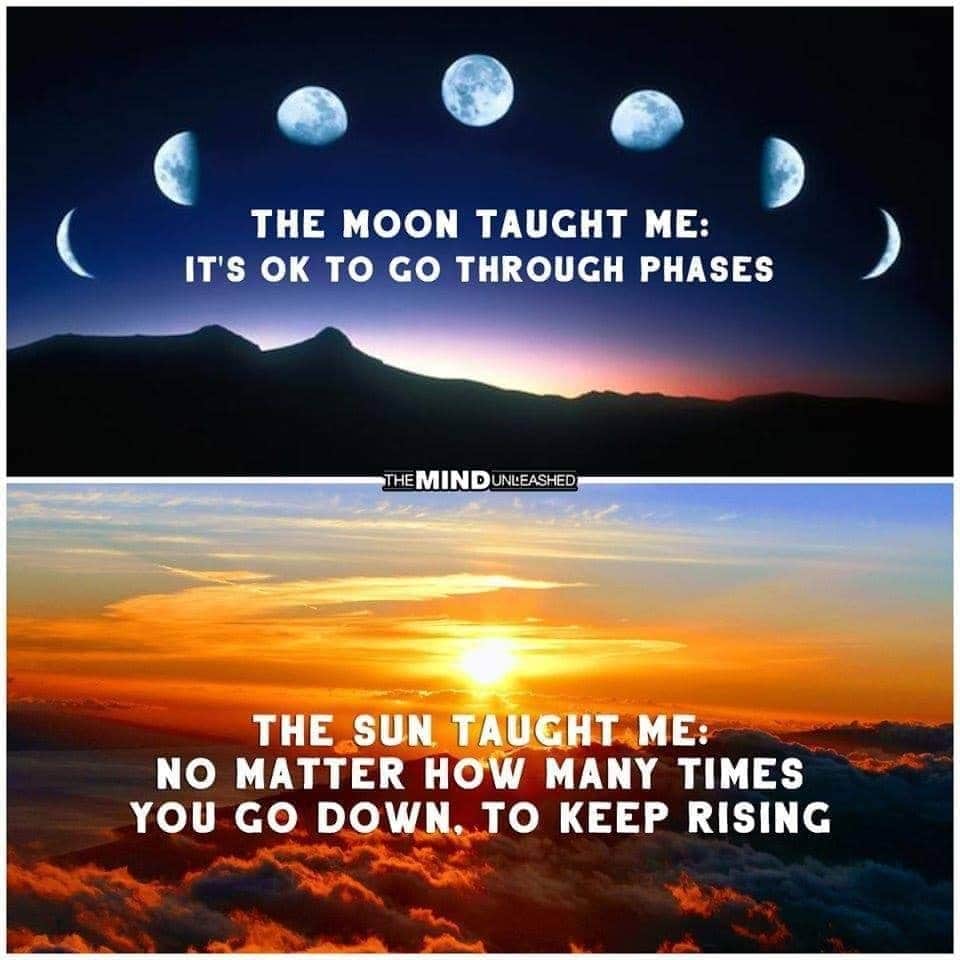 FB_IMG_1595647645346.jpg