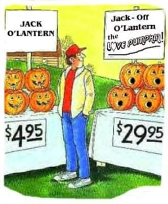 FB_IMG_1604198223498.jpg