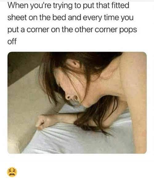 FB_IMG_1610519140094.jpg