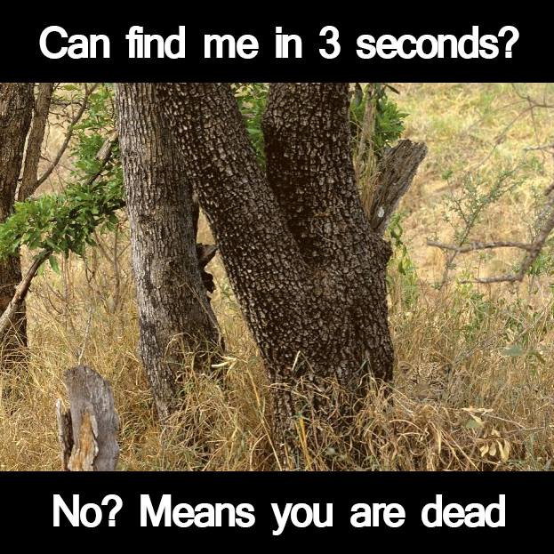 Find me.jpg