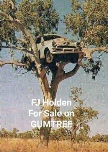 FJ Holden.jpg
