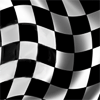 flag-racing.gif