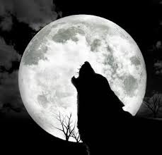 full moon.jpg