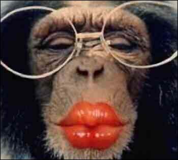Funny Monkey Pictures_ Read Descrition First!.jpg