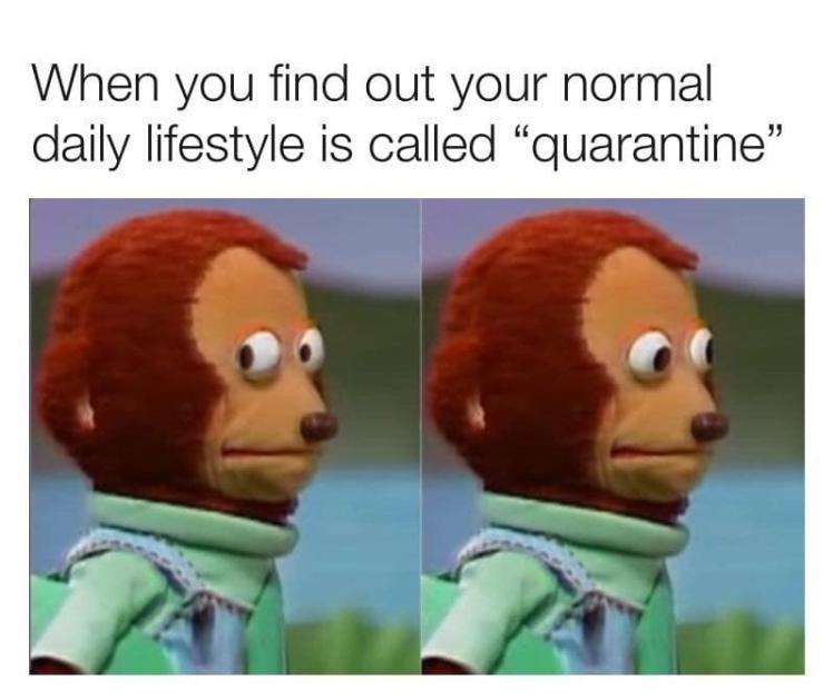 funny pic 6.jpg