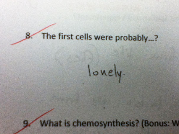funny-test-answers-smartass-kids-23.jpg