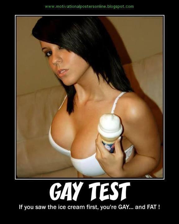 gay1.jpg