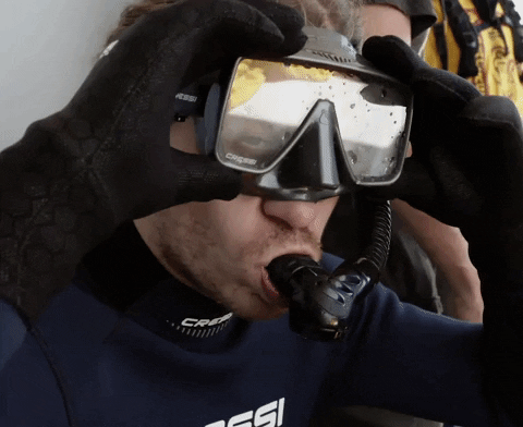giphy (1).gif