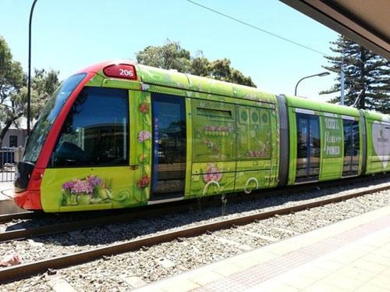 glenelg-tram.jpg