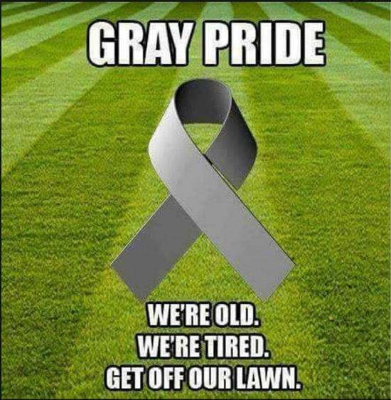Gray+pride.png