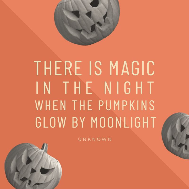 halloween 1.jpg