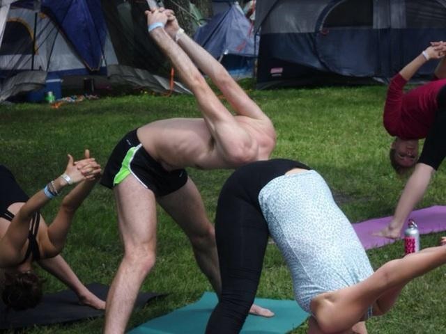 Head in ass.jpg