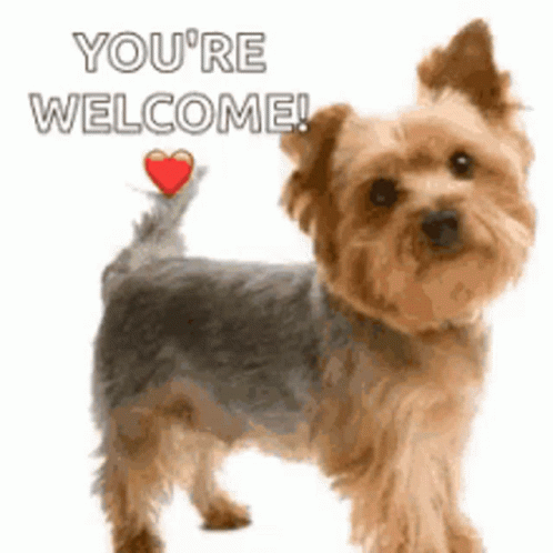 hug-virtual.gif