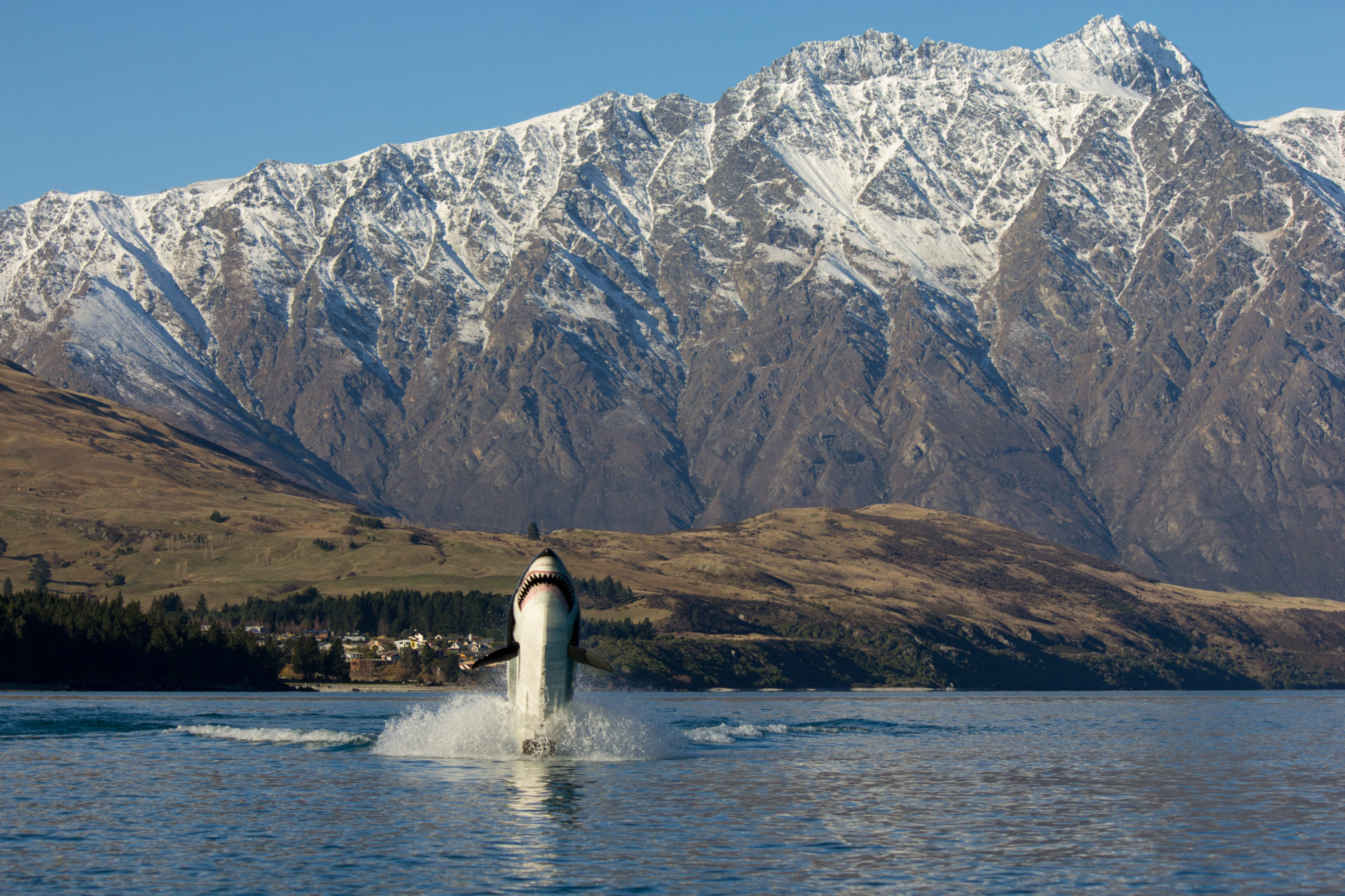 Hydro-Attack-on-Lake-Wakatipu.jpg