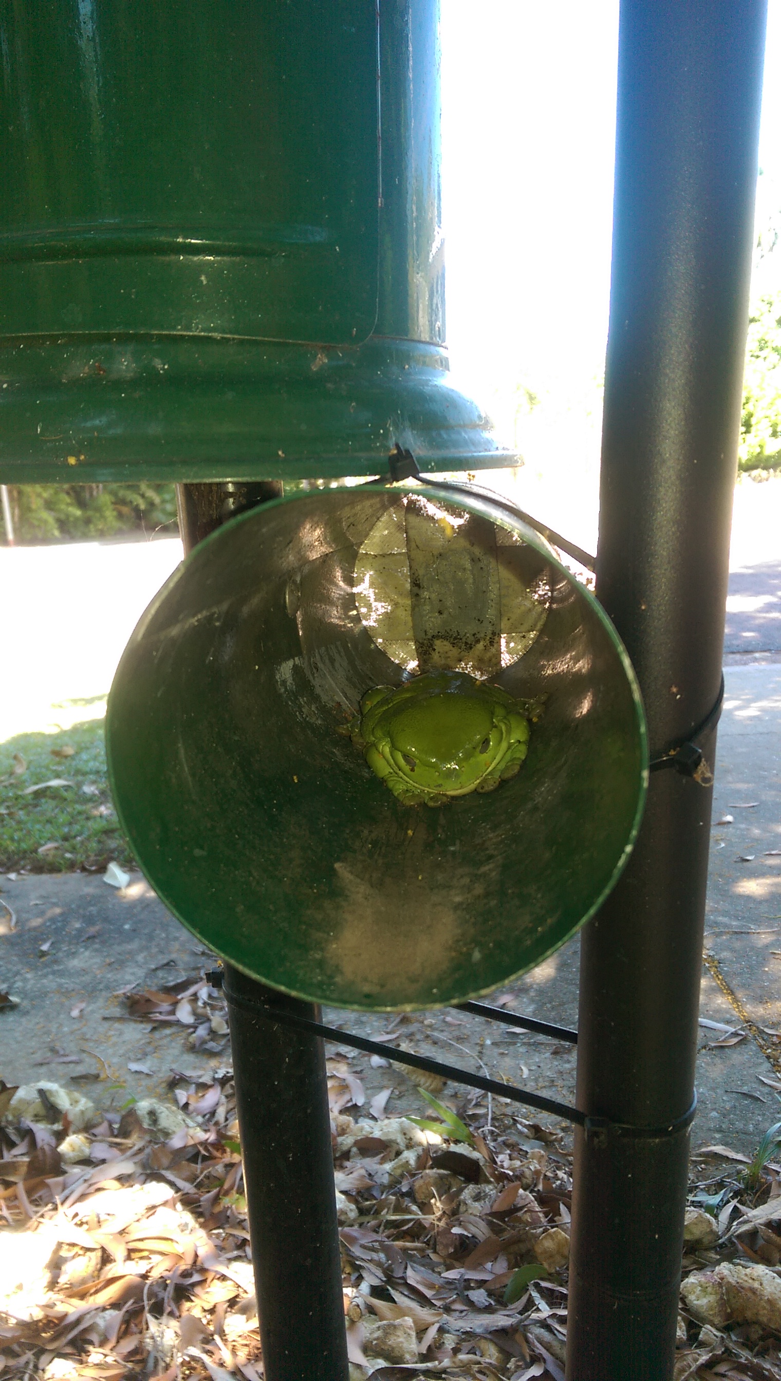IMAG0459.jpg