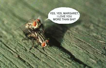 image0044.jpg