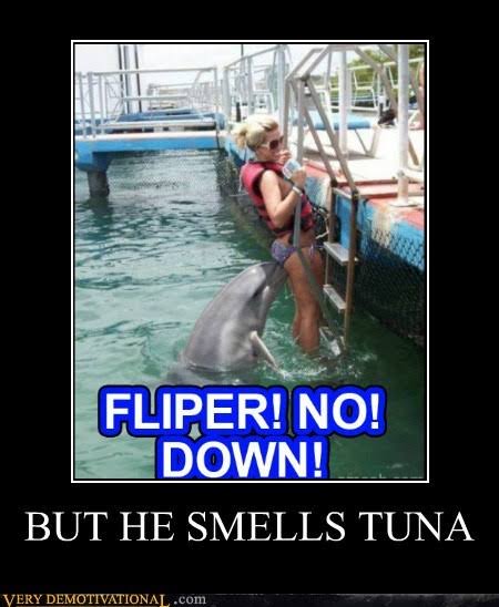 Smells tuna