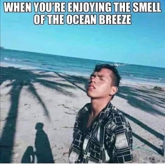 images (80).jpeg