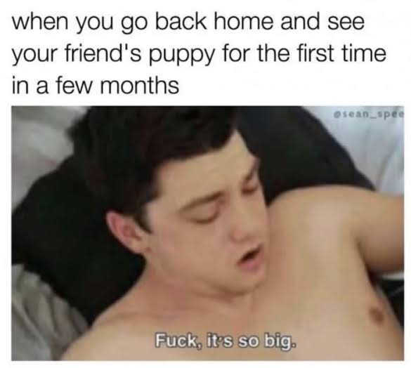 images.jpeg