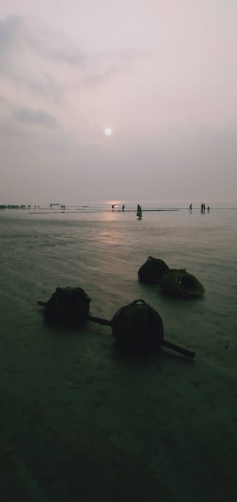 IMG20200227065016.jpg